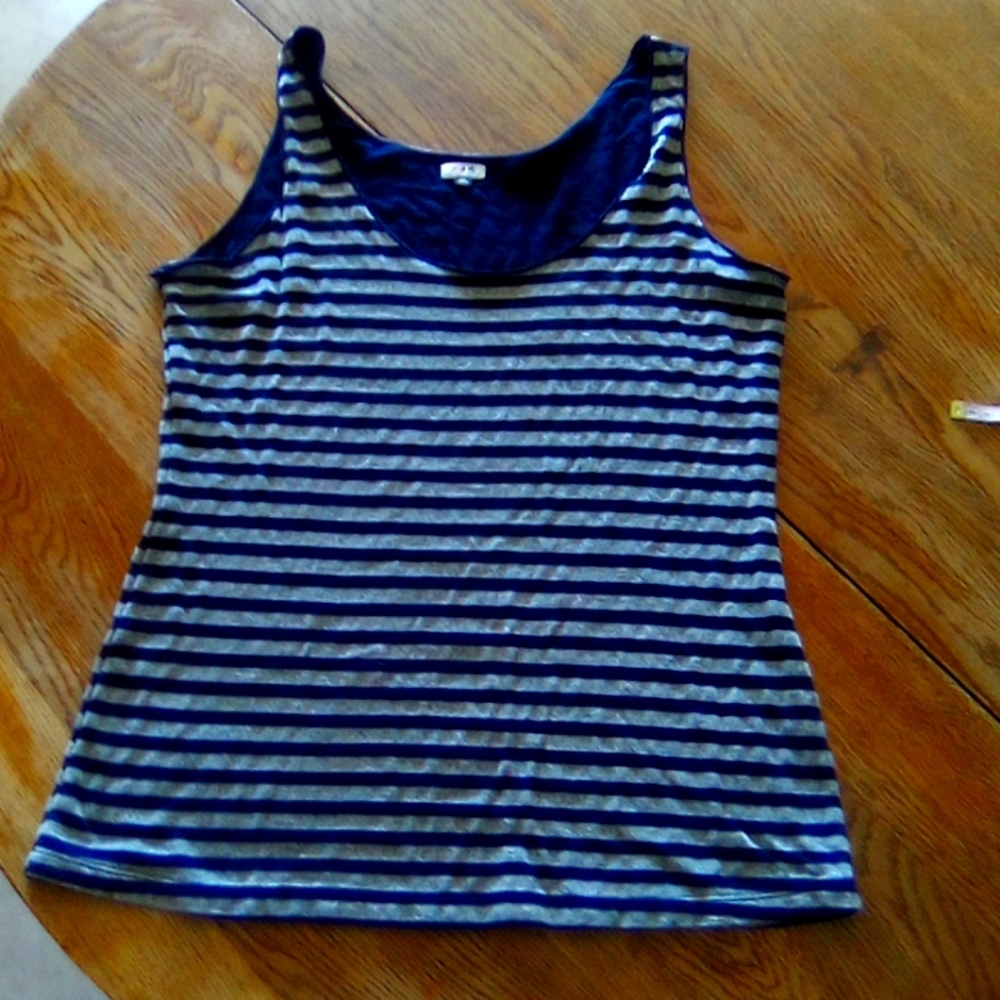 Jude Blue and Silver Metallic Stripped Tank